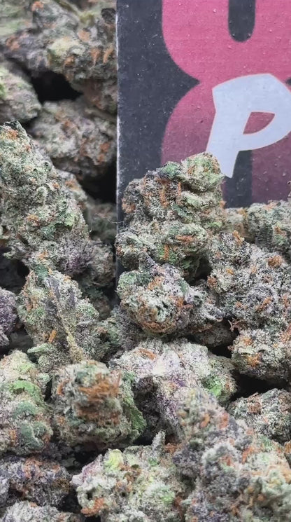 S031 -Citrus Dream SM (Hybrid)