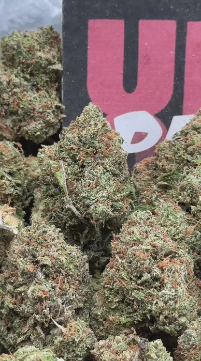 IP035- Oak Fuel (Hybrid)