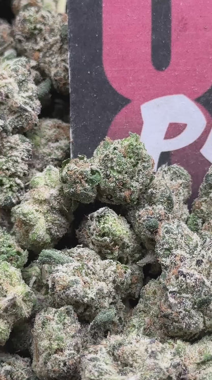 TDS001 - Sherbet Fuel SM (Hybrid)