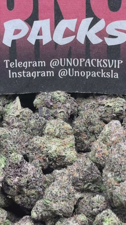 A008 - Sherbet Cake (Hybrid)