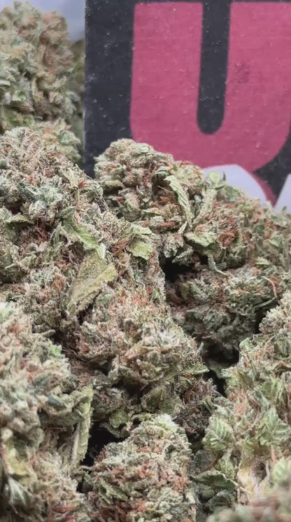 B020 - Cedar Market (Hybrid)