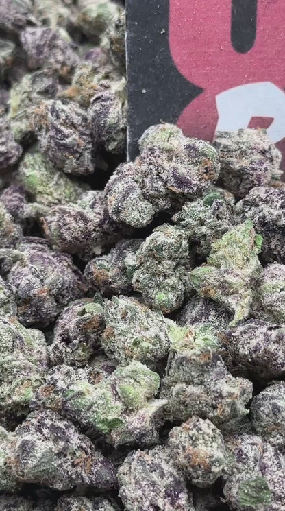 S029 -Lemon Bloom SM (Sativa)