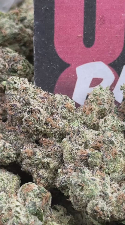 CIN400 - Cherry Cream Royale (Indica)