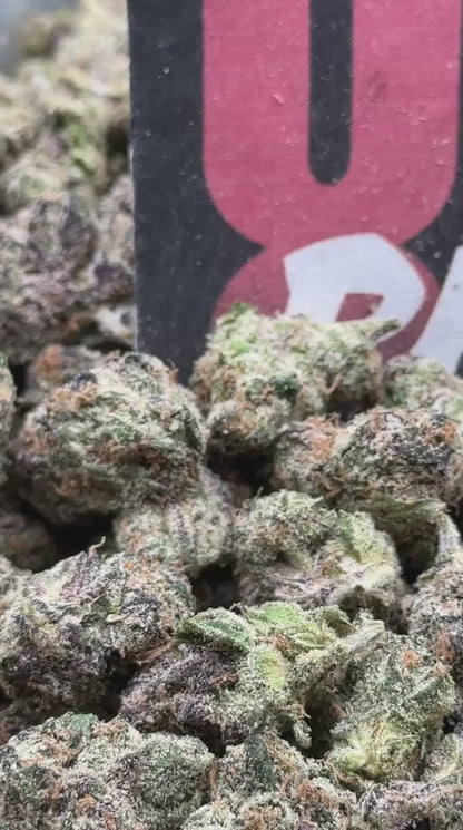 RM82 -Candy Bloom SM (Hybrid)