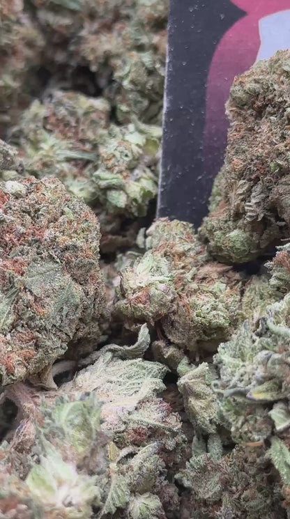 L002 - Oak Hollow (Indica)