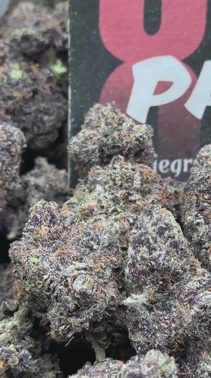 A025 - Pink Gelato (Hybrid)