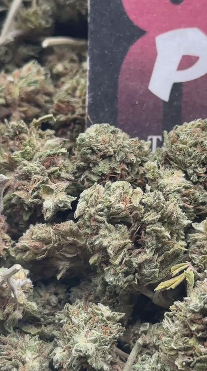 L011 - Cedar Crossing (Hybrid)