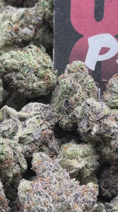 A054 - Candy Nocturne (Hybrid)