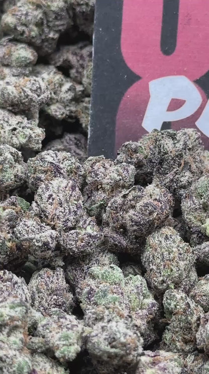 RM67 - Moon Cream SM(Indica)
