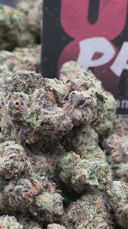 KI221 - Supreme Gelato (Indica)