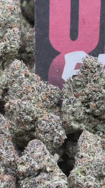 TD002 - Diamond Gasberry (Hybrid)