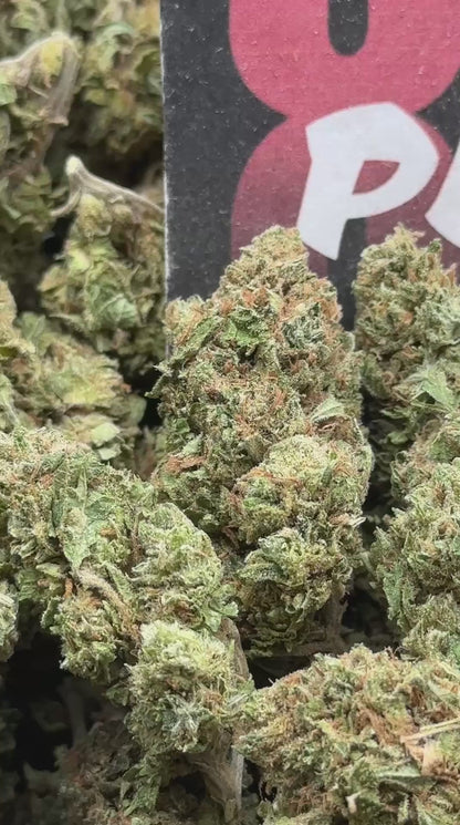 B021 - Prairie Basin (Indica)