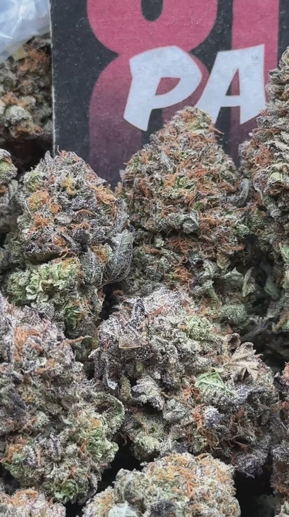 IP039- Candy Blossom (Hybrid)
