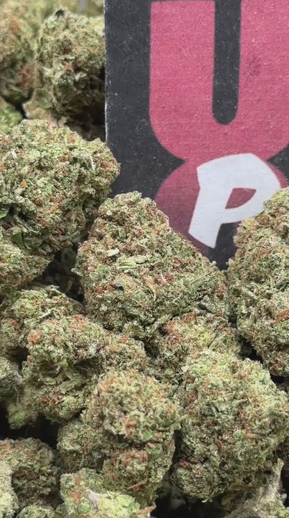 B044 - Chestnut Market (Indica)