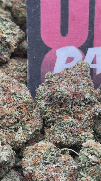 IP037- Morning Grove (Sativa)