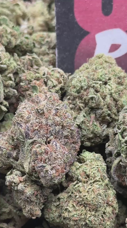 IP030- Maple Grove (Indica)