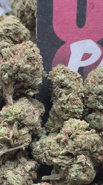 B045 - Summit Timber (Hybrid)
