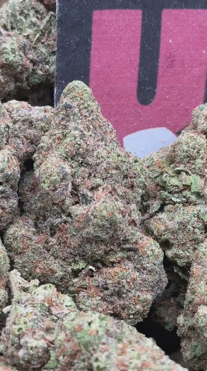 IP036- Juniper Market (Sativa)
