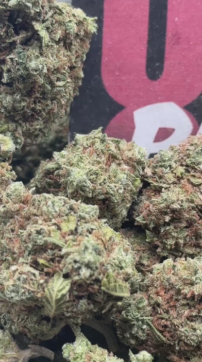 B037 -Rustic Grove (Sativa)