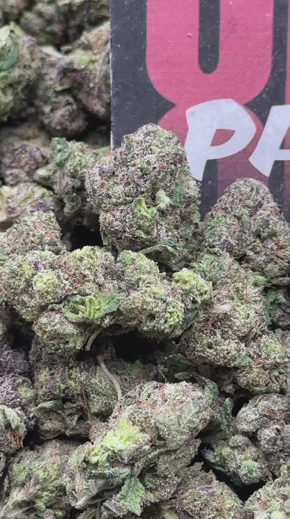 A032 - Purple Gelato (Hybrid)