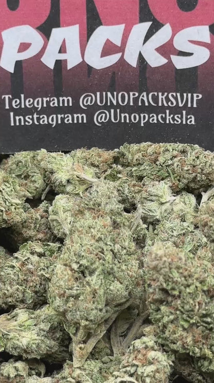 FK139 - Mango Crush (Hybrid)