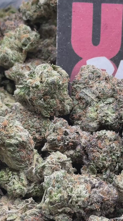 A022 - Velvet Zlushie (Hybrid)