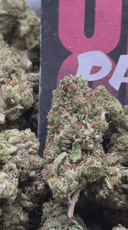 IP009 - Cedar Grove (Indica)