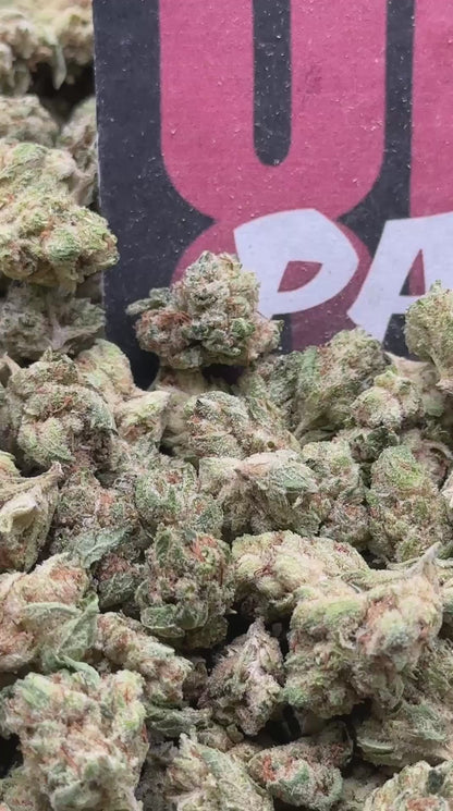 S042 - Hickory Orchard SM (Hybrid)