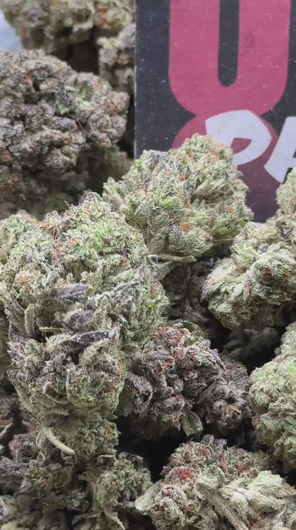 IP010- Silver Orchard (Hybrid)