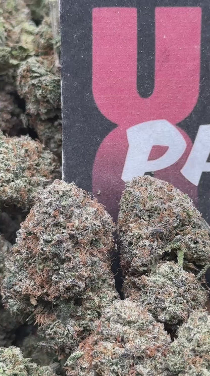 A043 -Lemon Zlushie (Hybrid)