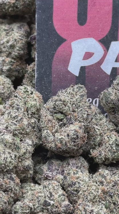 CIN401 - Cherry Sherbet (Hybrid)