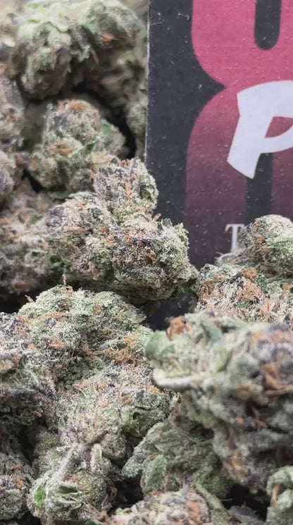 KI218 - Velvet Soda (Sativa)