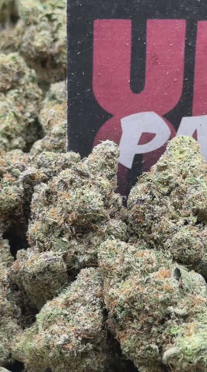 A003 - Candy Soda (Hybrid)
