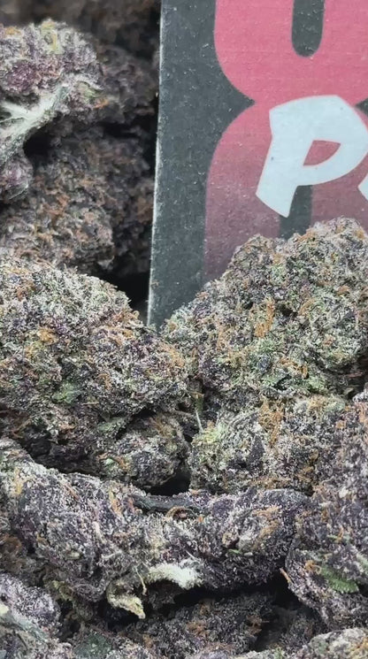 A026 - Golden Zlushie (Hybrid)