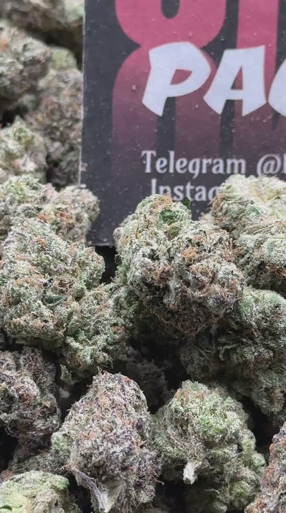 IN729 - Supreme Sherbet (Hybrid)