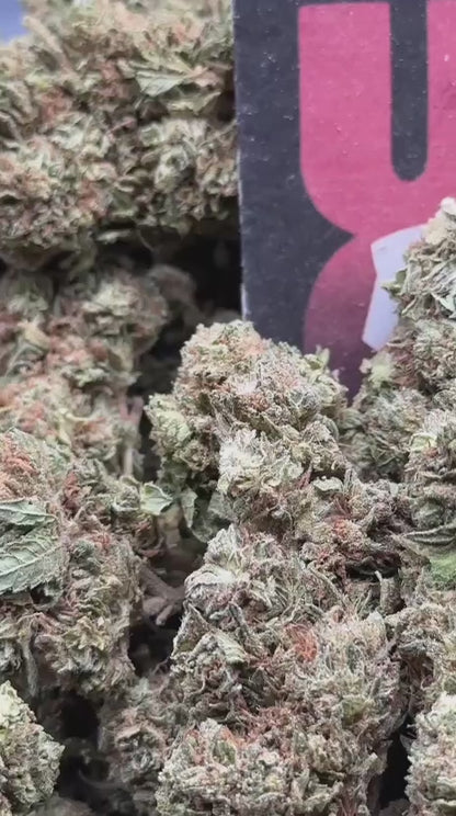 B023 - Cedar Trail (Hybrid)