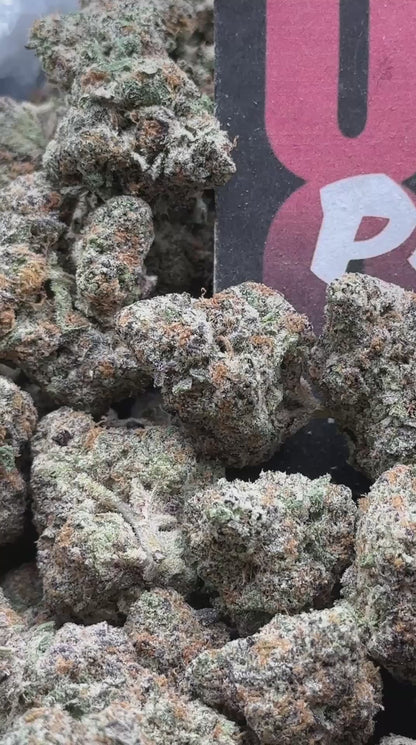 A055 - Velvet Parfait (Hybrid)